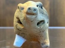 Unique Pig-Shaped Figurine Found In East China Was Probably A Child's Toy 6000-Years Ago