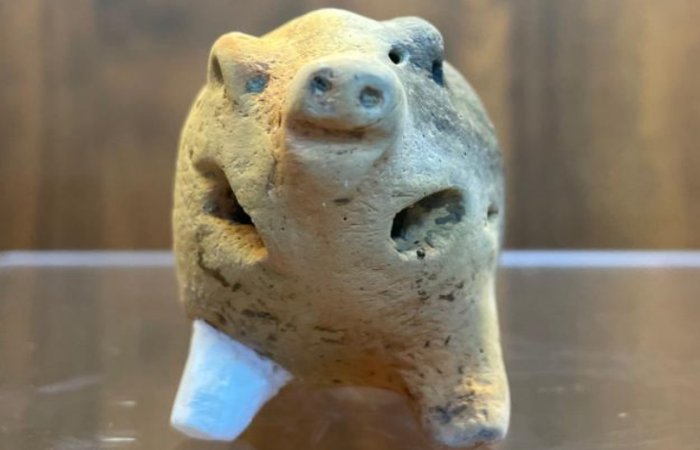 Unique Pig-Shaped Figurine Found In East China Was Probably A Child's Toy 6000-Years Ago