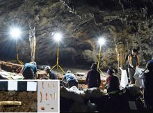 Humans Used Shells As Body Ornaments 30,000 Years Ago - Discovery In Malaga's Cueva de Ardales Reveals