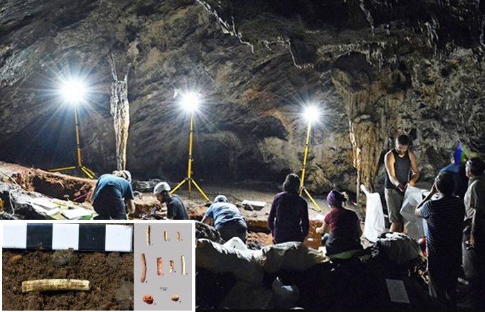 Humans Used Shells As Body Ornaments 30,000 Years Ago - Discovery In Malaga's Cueva de Ardales Reveals