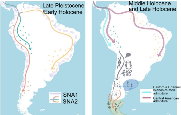 Tracing Chile's Indigenous Roots Through Genetics And Linguistics Tracing Chile's Indigenous Roots Through Genetics And Linguistics