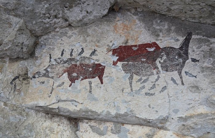 Unicorns In Southern Africa: The Fascinating Story Behind One-Horned Creatures In Rock Art