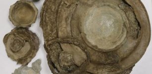 Rare 2,000-Year-Old Roman Hoard Discovered In Suffolk