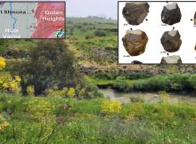 Early Humans In The Hula Valley Invested In Systematic Procurement Of Raw Materials Hundreds Of Thousands Of Years Ago