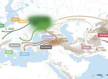 New Insights Into The Dawn Of The Indo-European Languages