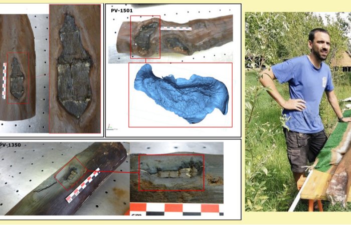 Earliest Evidence Of Forest Management Discovered At The La Draga Neolithic Site