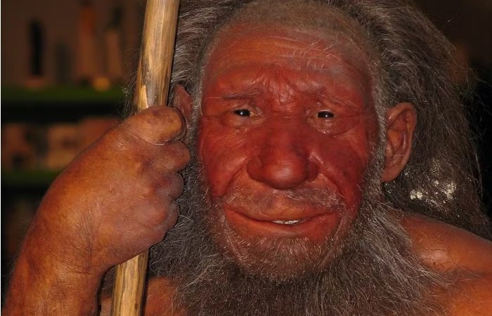 Do Neanderthal Genes Determine Our Skin Color And Sleep Patterns ...