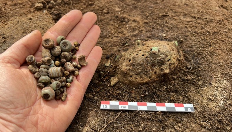 Amazing Artifacts Found In Viking Double Grave In Norwegian Garden