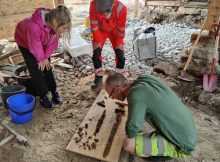 Couple Finds Viking Age Grave And Sword Found In Their Garden In Norway