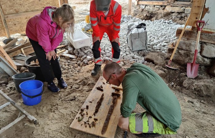 Couple Finds Viking Age Grave And Sword Found In Their Garden In Norway