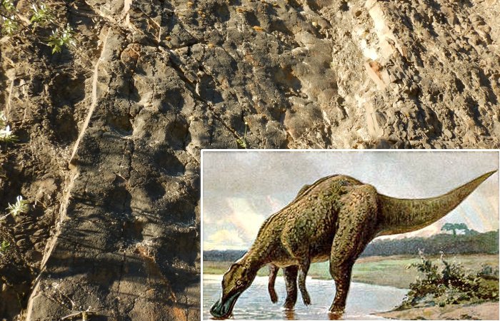 Largest Known Single Dinosaur Track Site In Alaska Discovered And Documented