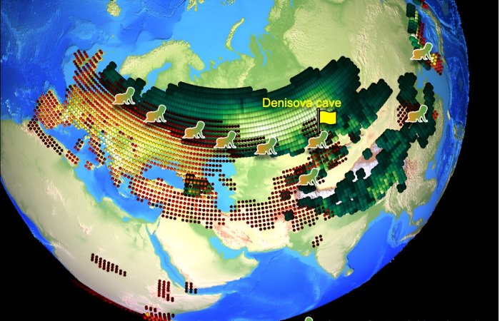 When And Where Early Human Species Interbred Was Detmined By Shifts In Climate And Vegetation - Scientists Say