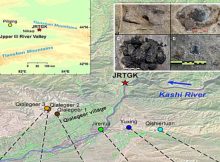 Earliest Systematic Coal Exploitation For Fuel Goes Back To ~3600 B.P.