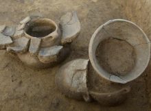 New Research Links Early Europeans’ Cultural And Genetic Development Over Several Thousand Years