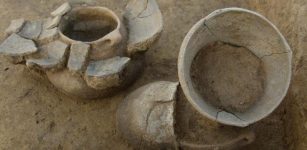 New Research Links Early Europeans’ Cultural And Genetic Development Over Several Thousand Years