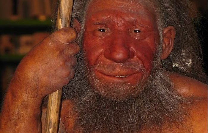 Do Neanderthal Genes Determine Our Skin Color And Sleep Patterns Ancient Pages