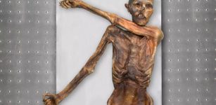 Ötzi Had Dark skin, Bald head And Anatolian Ancestry- DNA Reveals