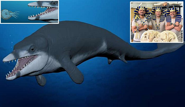 Tutcetus: The 'Pharaoh' Of Whales Who Died Young 41 Million Years Ago