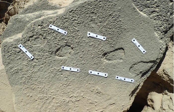 Ancient Footprints Offer Evidence Humans Wore Shoes 150,000 Years Ago - Scientists Say