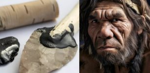 Birch Bark Tar Production Techniques Offer Evidence Neanderthals Had Cognitive Skills Similar To Modern Thinking