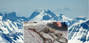 Viking Age Horse Bridle Found Under The Ice 2,000 Meters Above Sea Level