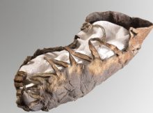 Extremely Well Preserved 2,000-Year-Old Child Shoe Discovered In Salt Mine