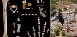Surprising Discovery Of Box Filled With Neanderthal Bones From Cova Simanya Donated To Museum