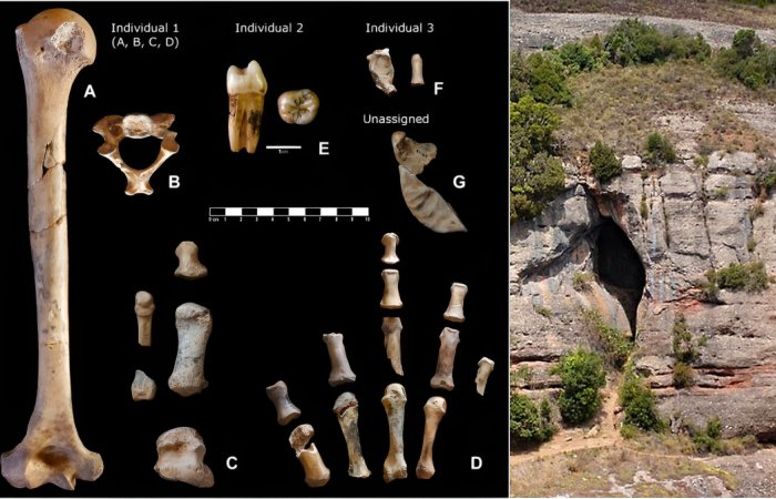 Surprising Discovery Of Box Filled With Neanderthal Bones From Cova Simanya Donated To Museum