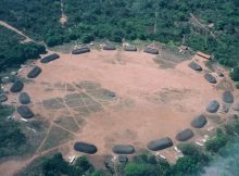 Ancient Amazonians Intentionally Created Fertile "Dark Earth"