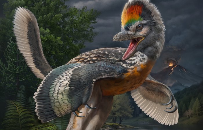 New Fossil Link In Bird Evolution Discovered