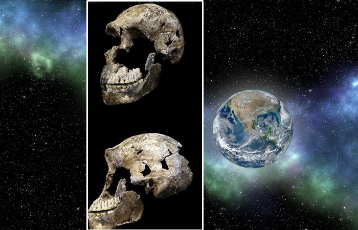 First Fossils Of Ancient Human Relatives Sent To Space - Tribute To Science And Our Ancient History