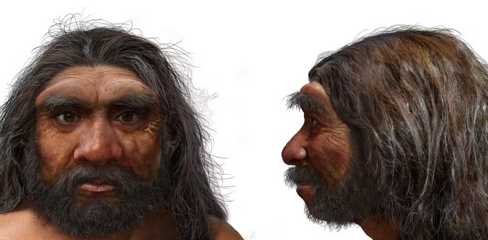 Homo Longi: Extinct Human Species That May Replace Neanderthals As Our ...