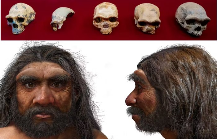 Meet Homo Longi: Extinct Human Species That May Replace Neanderthals As Our Closest Relatives