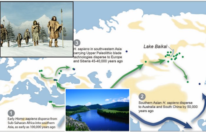 Can Pollen Analysis Solve The Ice Age Mystery How And When Homo Sapiens Migrated Across Europe And Asia?