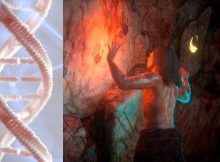 Something Strange Happened To Our Ancestors 900,000 Years Ago - Genetic Study Reveals