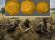 Are The Mysterious 'Ubeidiya Limestone Spheroids Of Early Hominins Evidence Of Intentional Symmetric Geometry?