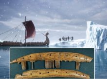 Vikings' Long Distance Trade Reached The Arctic - Deer Antler Combs Reveal