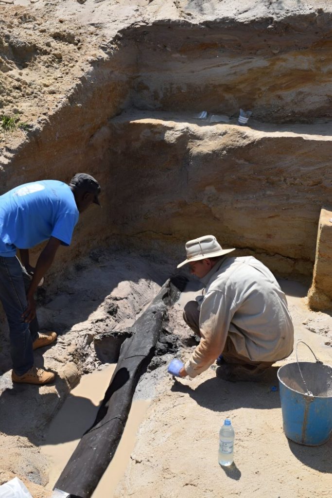 World's Oldest Wooden Structure Discovered And It Predates Homo Sapiens ...