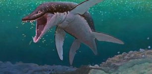 170-Million-Year-Old Sea Monster Identified As The Oldest Mega-Predatory Pliosaur