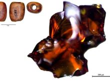 Earliest Baltic Amber In Western Europe Found On The Iberian Peninsula 5,000 Years Ago 