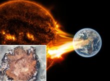 Evidence Of The Biggest Ever Solar Storm 14,300 Years Ago - Found In Ancient Tree Rings