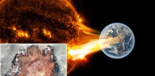 Evidence Of The Biggest Ever Solar Storm 14,300 Years Ago - Found In Ancient Tree Rings