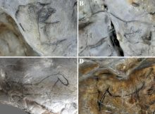 Was Ice Age Cave Art Influenced By Pareidolia?