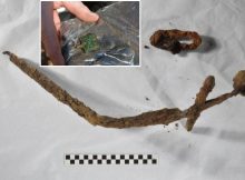 Crusader-Era Sword Discovered At Previously Unknown Burial Site In Finland