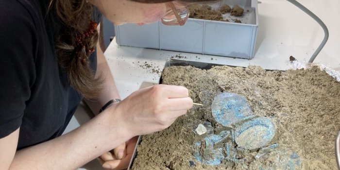 Sensational' Hoard of Bronze Age Jewelry From 3,500 Years Ago Discovered