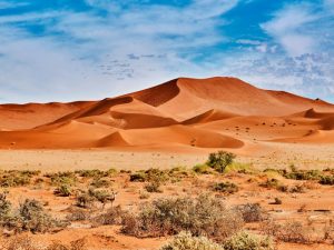 DNA Reveals Unique Ancestry Of Inhabitants Of The Angolan Namib Desert ...