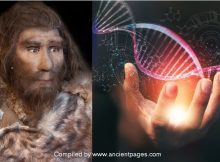 Neanderthals Inherited At Least 6% Of Their Genome From A Now-Extinct Lineage Of Early Modern Humans