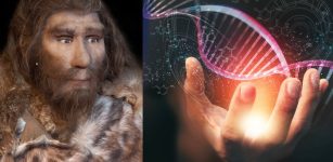 Neanderthals Inherited At Least 6% Of Their Genome From A Now-Extinct Lineage Of Early Modern Humans