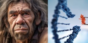 People Who Carry Neanderthal Gene Variants Have Greater Pain Sensitivity