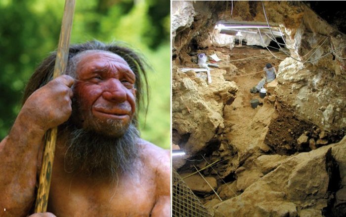 Neanderthal Intelligence Revealed By Their Use Of Fire For Cooking